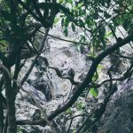 Tham-Neramit-21