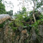 Tham-Neramit-29
