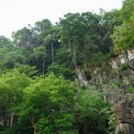 Tham-Neramit-33