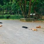 Tham-Neramit-34