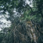 Wat-Tham-Suwan-Phu-Pha-07