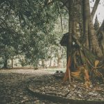 Wat-Tham-Suwan-Phu-Pha-08
