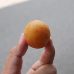 ขนมไข่นกกระทา-03