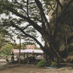 Khao-Tham-Rakang-Thong-21
