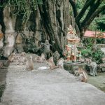 Khao-Tham-Rakang-Thong-34