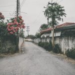 panoo-chakkorpai-13