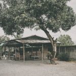 panoo-chakkorpai-14