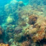 phupa_tour_rayong_05