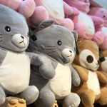 Valentine’s day_180208_0029