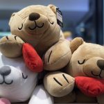Valentine’s day_180208_0074