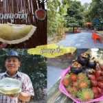 Fruit-Buffet-2018-12