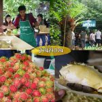 Fruit-Buffet-2018-5