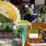 Fruit-Buffet-2018-7