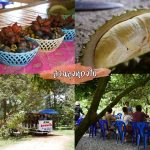 Fruit-Buffet-2018-9