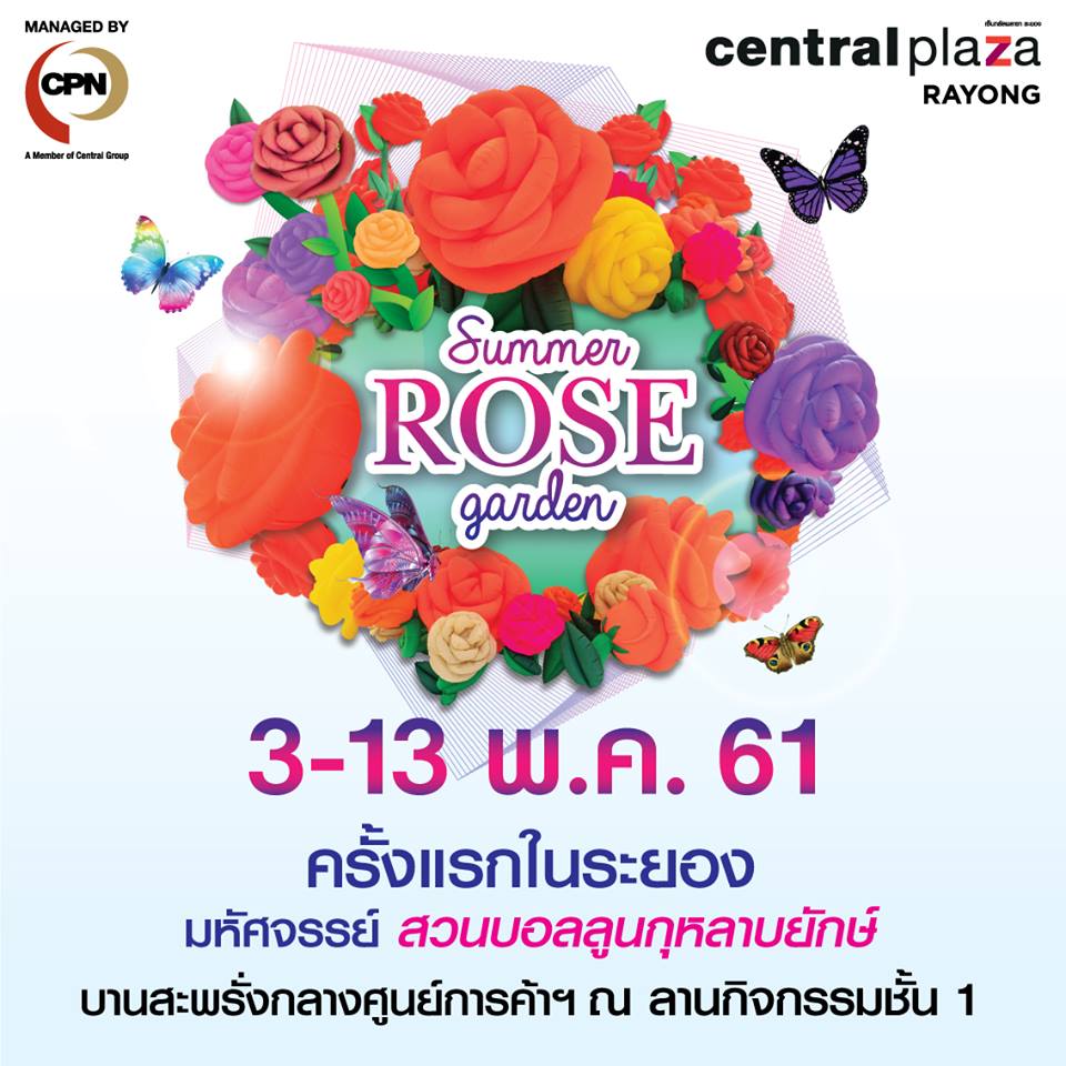 ครั้งแรกในระยองกับสวนบอลลูนกุหลาบยักษ์ หลากสีสัน Summer Rose Garden