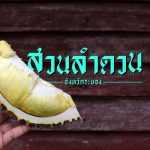 lamdaun