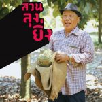 longying-01