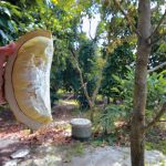longying-19
