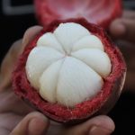 soanpanan-01