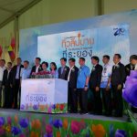 01-tulip-rayong