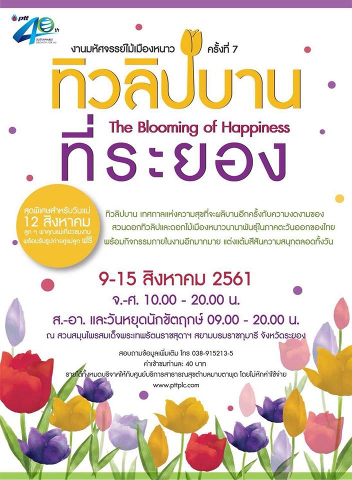 มหัศจรรย์ไม้เมืองหนาว ทิวลิปบานที่ระยอง  The Blooming of Happiness  9-15 สิงหาคม 2561