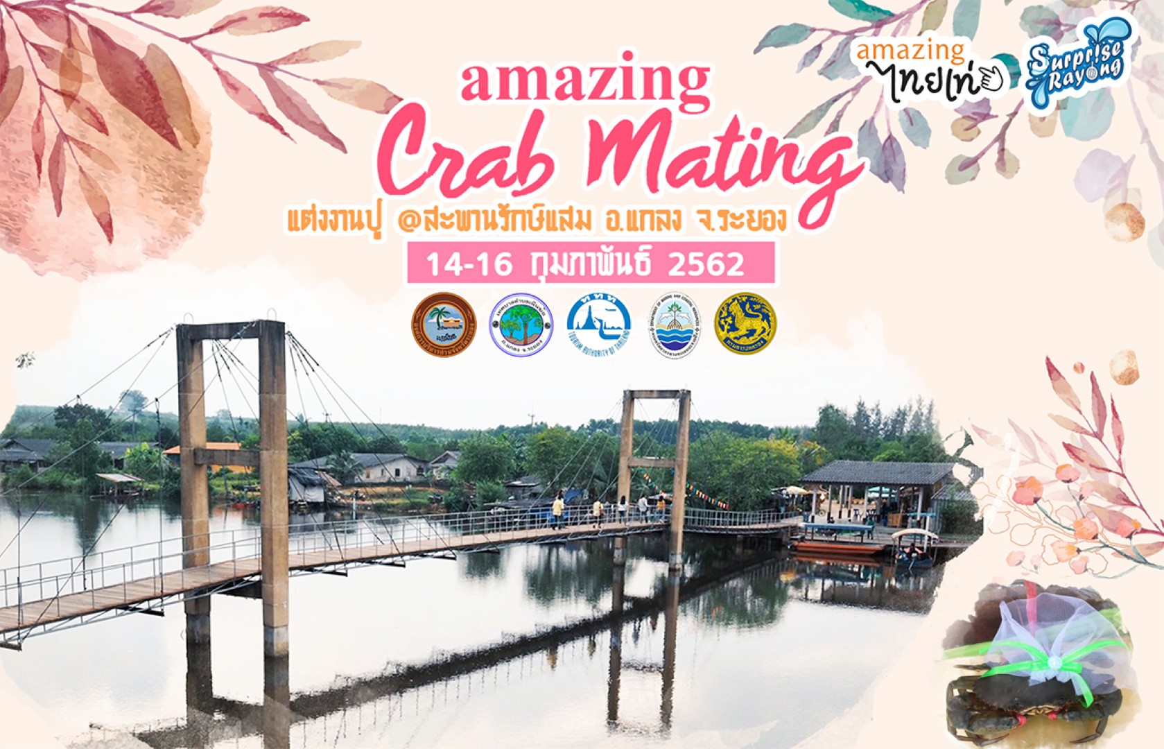 Amazing Crab Mating  แต่งงานปู @สะพานรักษ์แสม อ.แกลง จ.ระยอง 14-16 ก.พ. 62