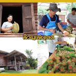 Buffet-Fruit-Rayong–2019-10