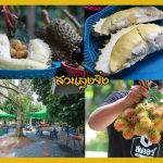 Buffet-Fruit-Rayong–2019-12