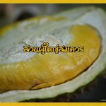 Buffet-Fruit-Rayong–2019-14