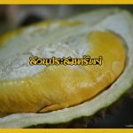 Buffet-Fruit-Rayong–2019-16