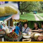 Buffet-Fruit-Rayong–2019-18