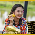 Buffet-Fruit-Rayong–2019-22