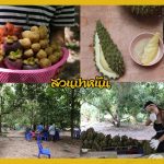 Buffet-Fruit-Rayong–2019-8