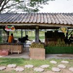 durain_khunyay (5)