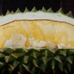 durian_khunyay-03