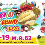 tapong-fruit-fest