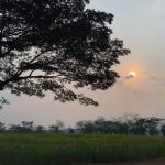 Portuang-prasae-04-Medium