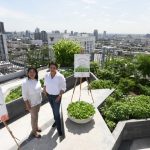 Sansiri-Backyard@ONYX-1