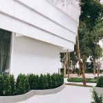 Sneak PJ_190819_0006