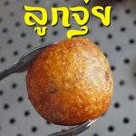 ลูกจุ่ยป้าไพร-01-Medium