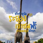 สวนนงนุช-Medium