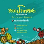 สวนผลไม้จัทบุรี-01-Medium