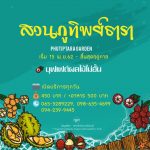 สวนผลไม้จัทบุรี-04-Medium
