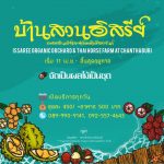 สวนผลไม้จัทบุรี-11-Medium