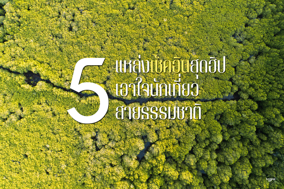 สายเขียว เที่ยวกันไหม? 5 แหล่งเช็คอินสุดฮิปจังหวัดระยอง เอาใจนักเที่ยวสายธรรมชาติ