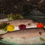 69860092_3047203438688307_8575123246955888640_o