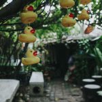 70418261_3058635954211722_3059964357866684416_o