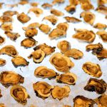 70901874_3047202942021690_3494400231137607680_o