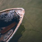 69722428_3217029665039016_5978733182000824320_o