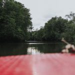 70120040_3067663589975625_4345809508237312000_o